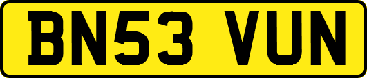 BN53VUN