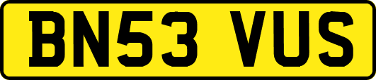 BN53VUS