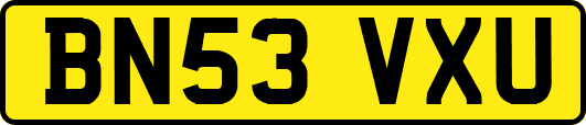 BN53VXU