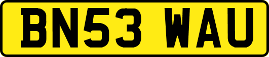 BN53WAU