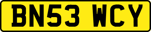 BN53WCY