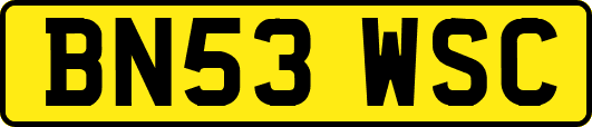 BN53WSC