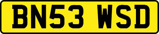 BN53WSD