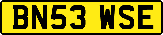 BN53WSE