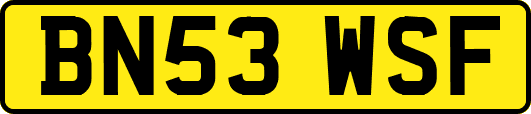 BN53WSF