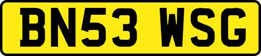 BN53WSG