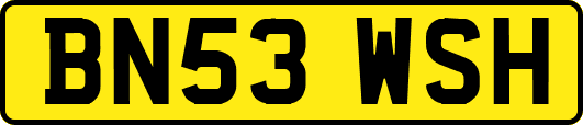BN53WSH