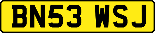 BN53WSJ