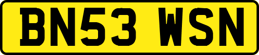 BN53WSN