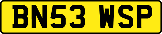 BN53WSP