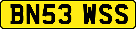 BN53WSS