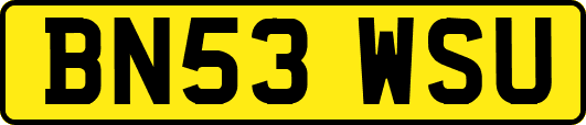 BN53WSU