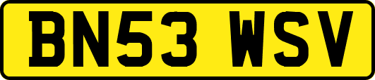 BN53WSV
