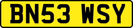 BN53WSY