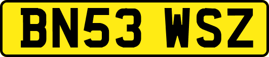 BN53WSZ