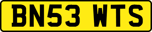BN53WTS