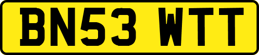 BN53WTT
