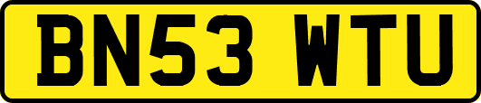 BN53WTU
