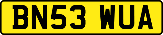 BN53WUA