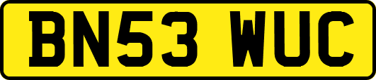 BN53WUC