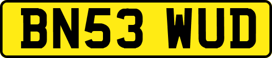 BN53WUD
