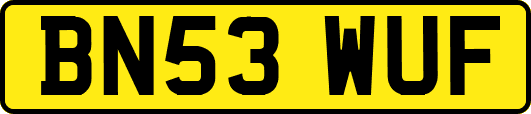 BN53WUF