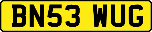 BN53WUG