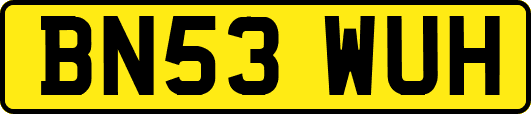 BN53WUH