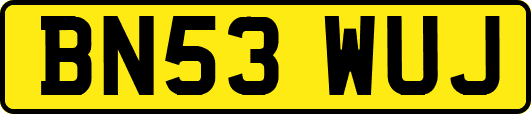 BN53WUJ