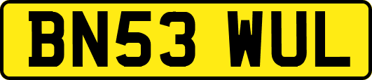 BN53WUL