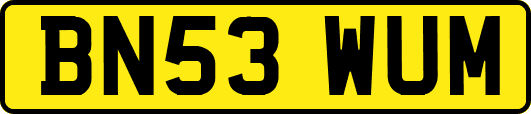 BN53WUM
