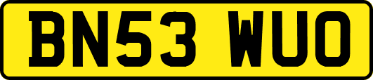 BN53WUO