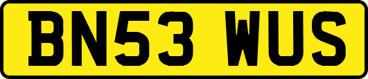 BN53WUS