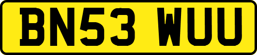 BN53WUU