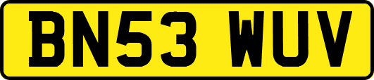 BN53WUV