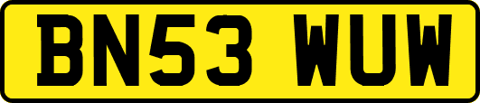 BN53WUW