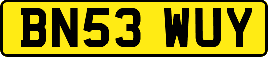 BN53WUY