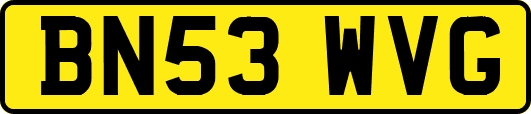 BN53WVG