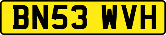 BN53WVH