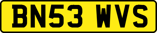 BN53WVS