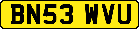 BN53WVU