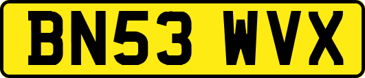 BN53WVX