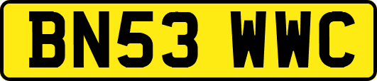 BN53WWC