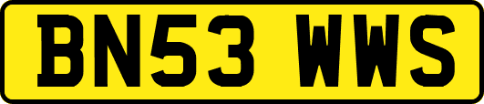 BN53WWS