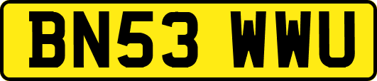 BN53WWU