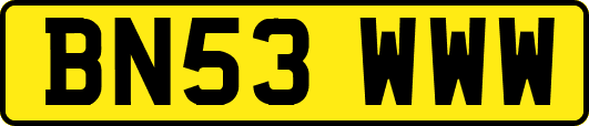 BN53WWW