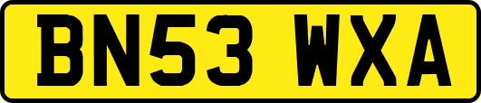BN53WXA