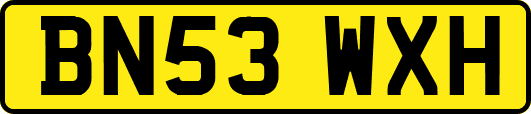 BN53WXH