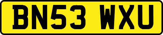 BN53WXU