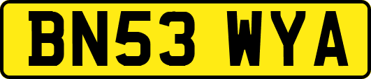 BN53WYA